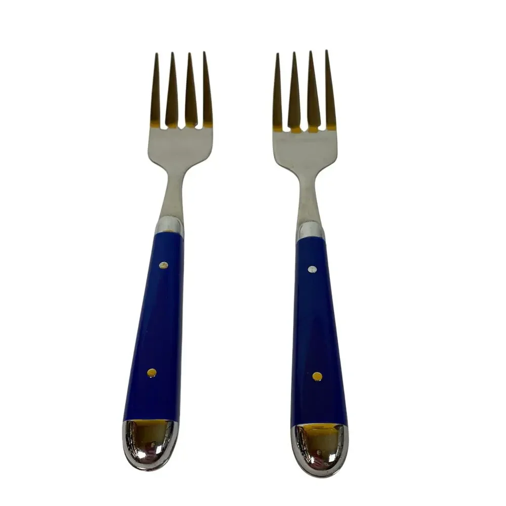 Oneida Palette Cobalt Blue Stainless Riveted 2 Salad Forks Glossy Silverware